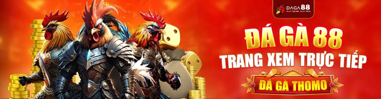Hình ảnh chính sách bảo mật Roobet Casino