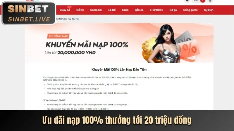 Ưu đãi chào mừng hấp dẫn khi đăng ký tài khoản Roobet Casino